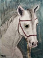 "Portret Byal Kon Withe Horse Portrait", Traksi art | Dea Art