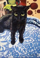 "Черна котка", Ирина Иванова | Дея Арт